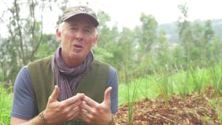 "Working with Other Cultures"